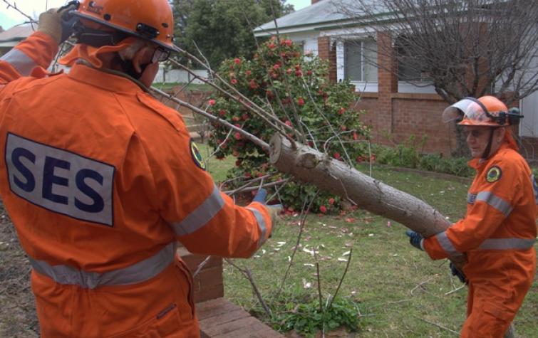 NSW SES volunteers clearing storm debris. Photo credit: NSW SES.
