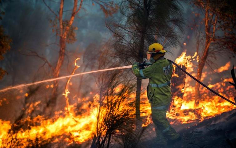 A firefighter battles the Parkerville fire. Photo by DFES