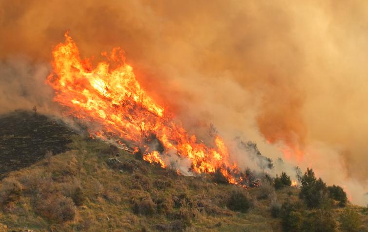 Fire in the landscape. Photo credit: Fire and Emergency New Zealand.