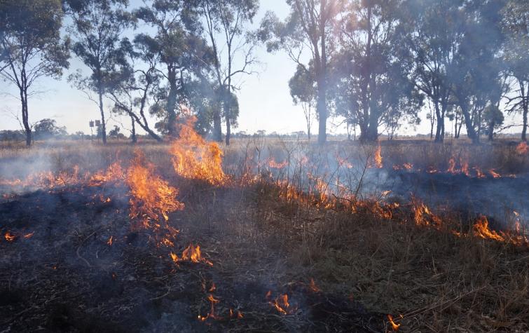 Djandak wi cultural burn at Myola, Victoria. Photo: Timothy Neale, 2018