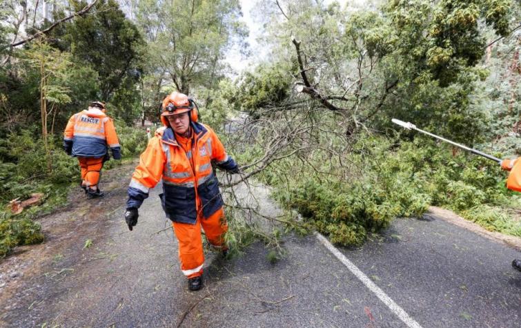 : SA SES volunteers clearing up after a storm. Photo: SA State Emergency Service