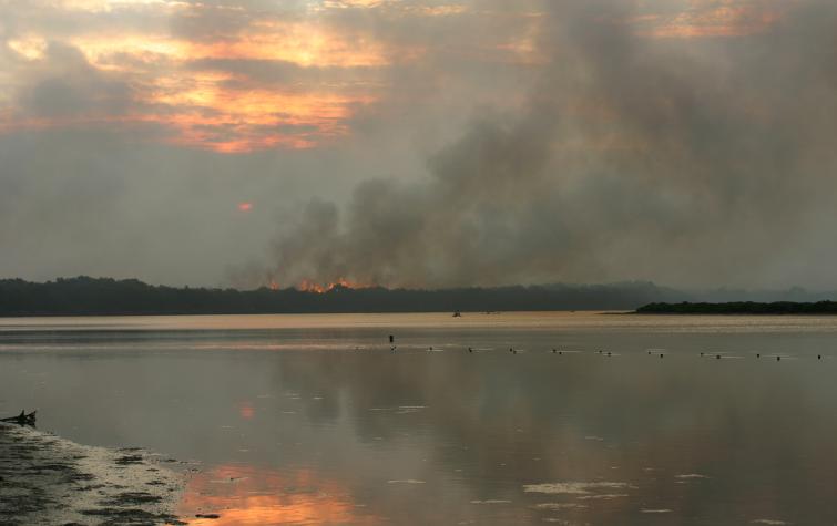 Fire in the landscape. Photo: TFS.
