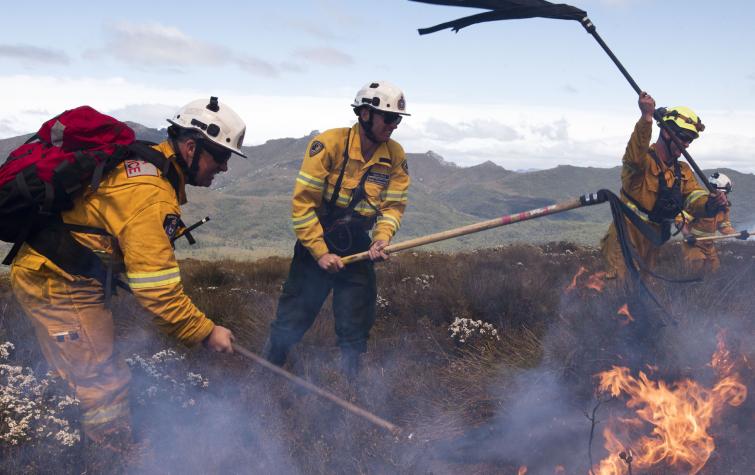 Firefighters using fire beaters to fight the Gell River fire in the Tasmanian Wilderness World Heritage Area. Photo: Warren Frey, AFAC