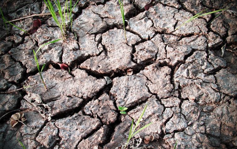 Dry Earth. Photo: pxhere (https://pxhere.com/en/photo/561747)