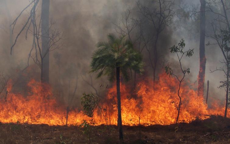 A fire within tropical savanna bushland of northern Australia. Photo: Ken Scott.