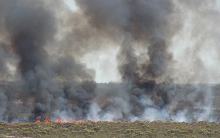 Ngarkat, Sth Australia, fire and smoke