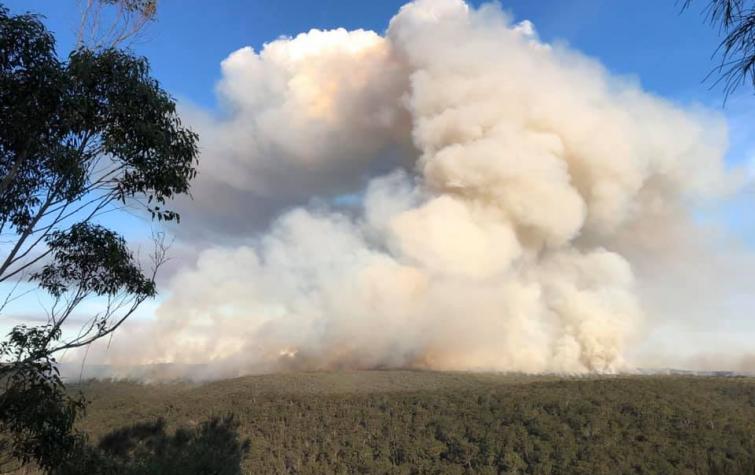 Artillery Hill NSW, May 2020. Photo: NSW Rural Fire Service