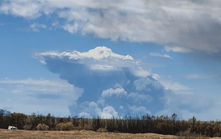 Fire-generated thunderstorm forming during Lake King fire in Western Australia, 2020. Photo: Christine Harper, DBCA, WA. 