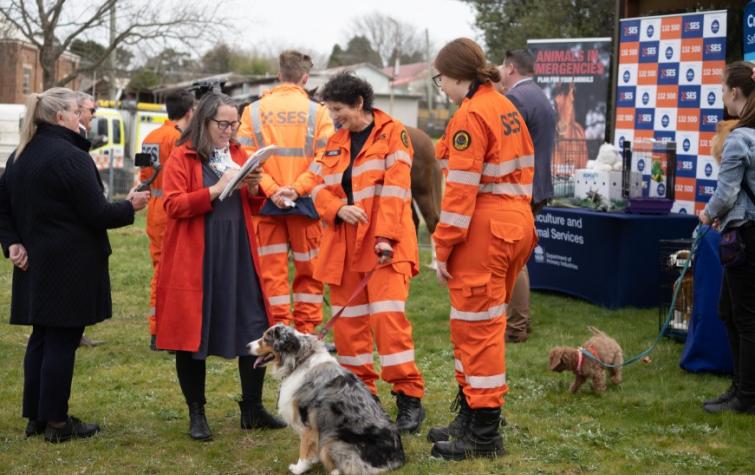 NSW SES launched their new evidence-based Get Ready Animals website in August 2020. Photo: NSW SES.