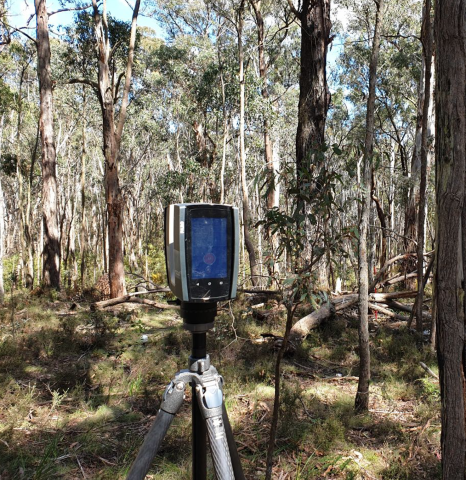 Laser scanner in bush