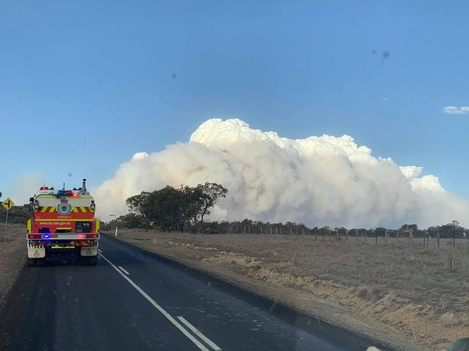 Fire at Bees Nest, Armidale. Photo: NSW RFS. 
