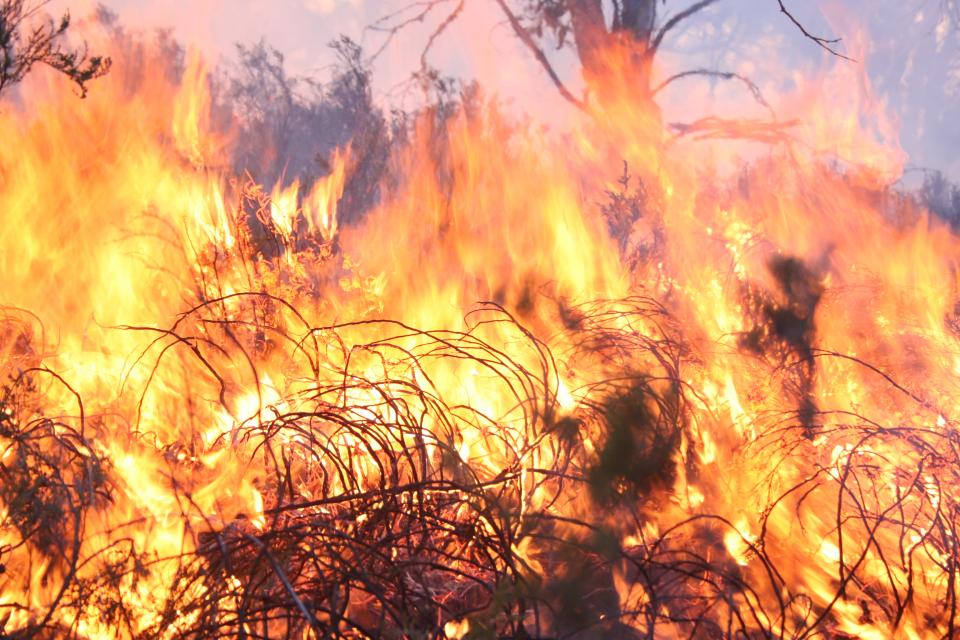 Fire in the Australian high plains