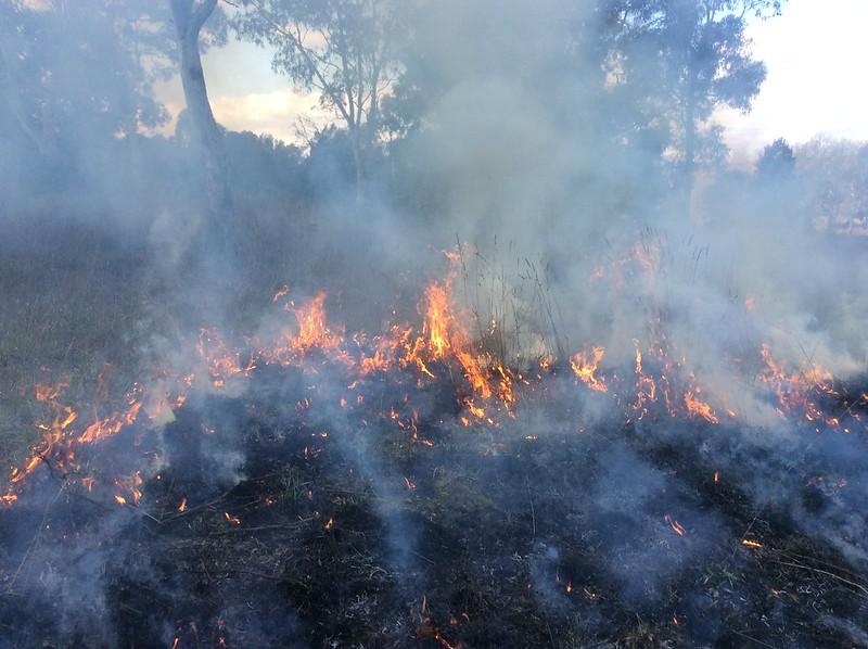 Spring 2015 prescribed burn. Photo: ACT Parks & Conservation Service