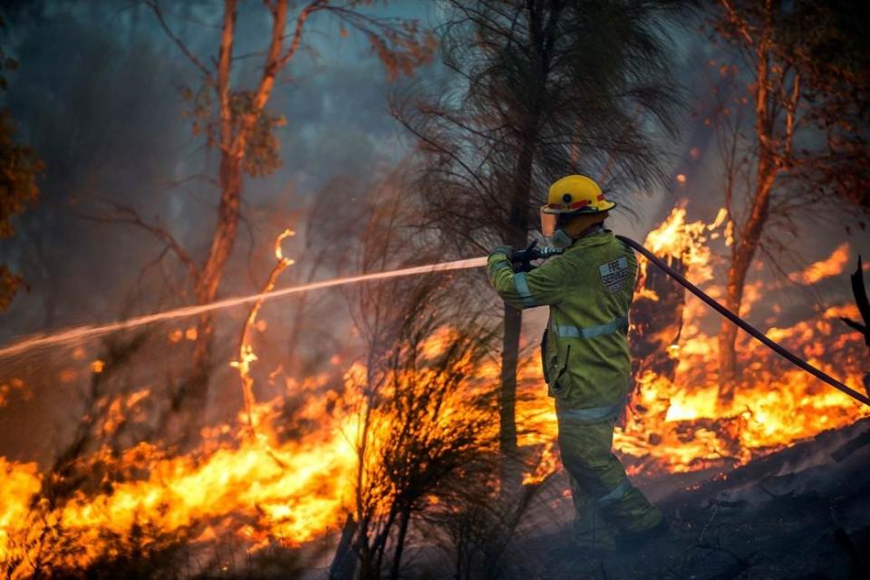 Firefighter and flames. Photo: DFES
