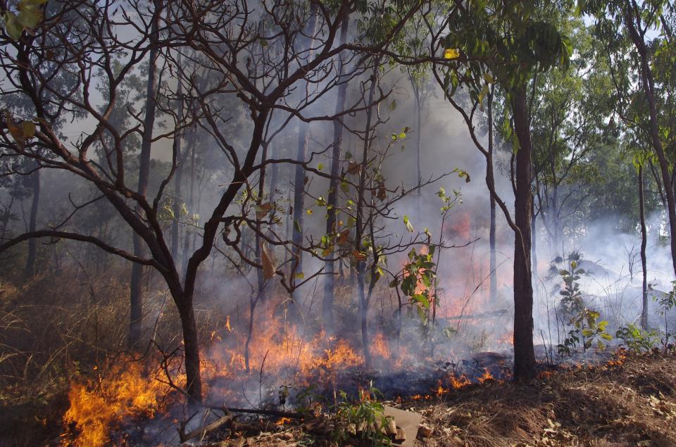 Robertson Barracks, Darwin. Photo: Bushfire and Natural Hazards CRC