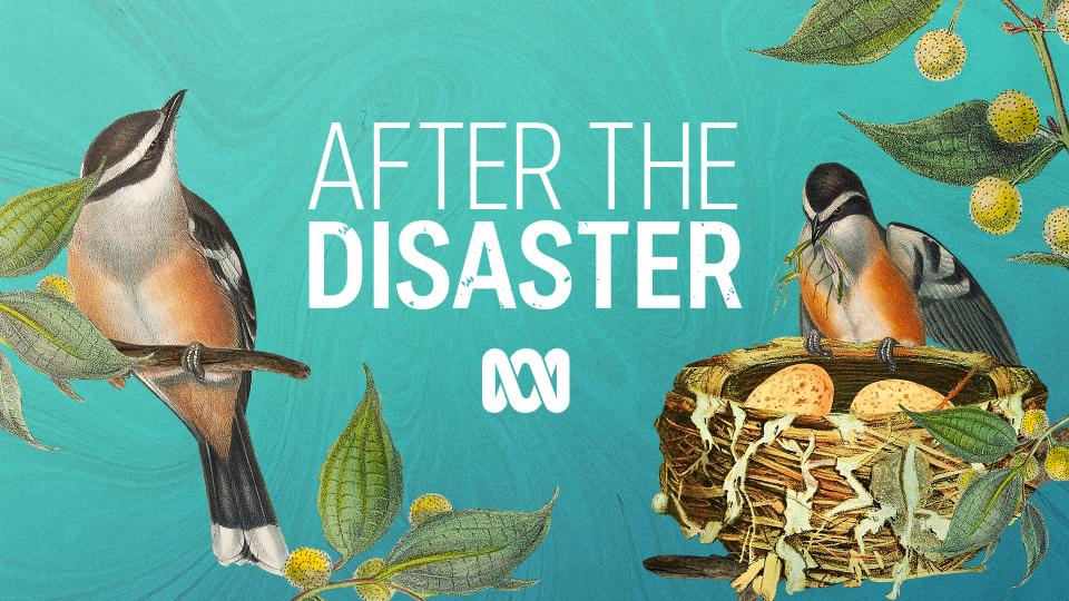 After the Disaster podcast series, produced by the ABC. Illustration: ABC. 