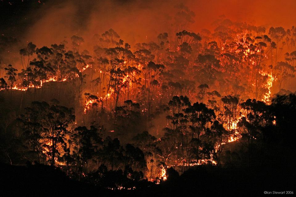 Bushfire near Hobart 2006.
