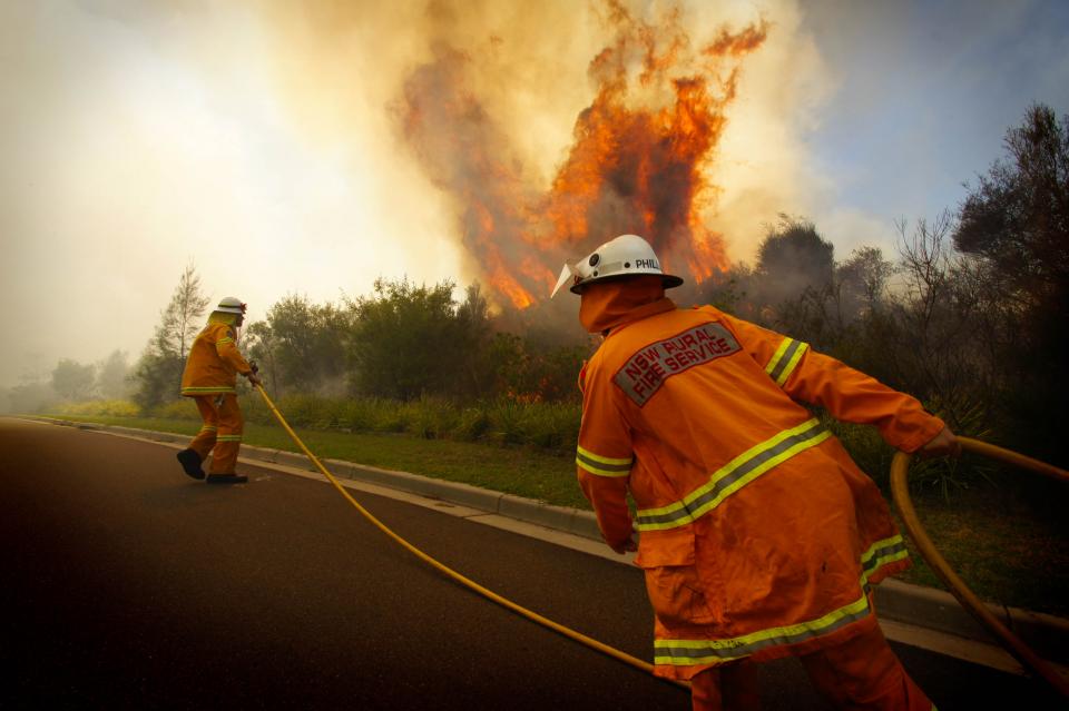 Belrose hazard reduction in 2011. Credit: NSW RFS Media services CC BY NC-ND 2.0