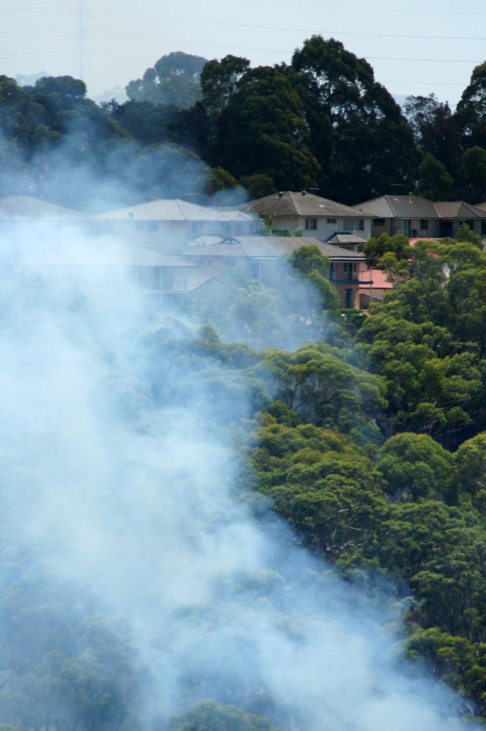 Belrose burn. Photo: Anthony Clark NSW RFS.