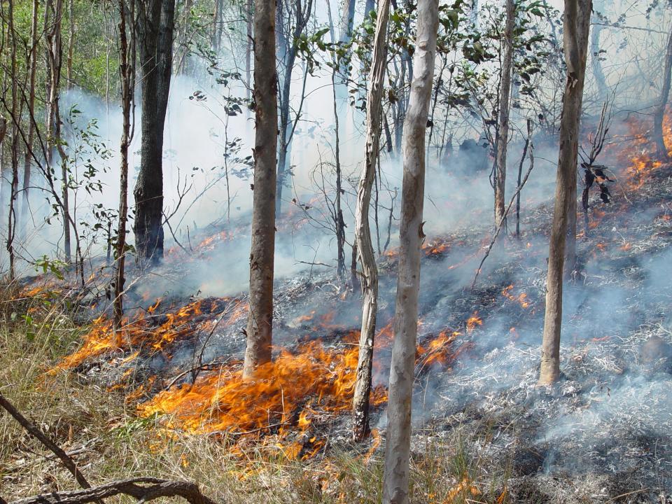 Fire in open woodland. Photo credit: QFES.