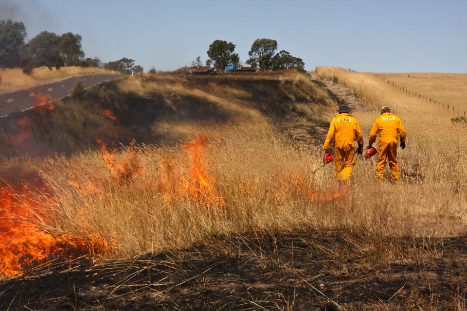 Hazard reduction burn in Victoria by CFA. Photo credit: Sarah Dickson-Hoyle.