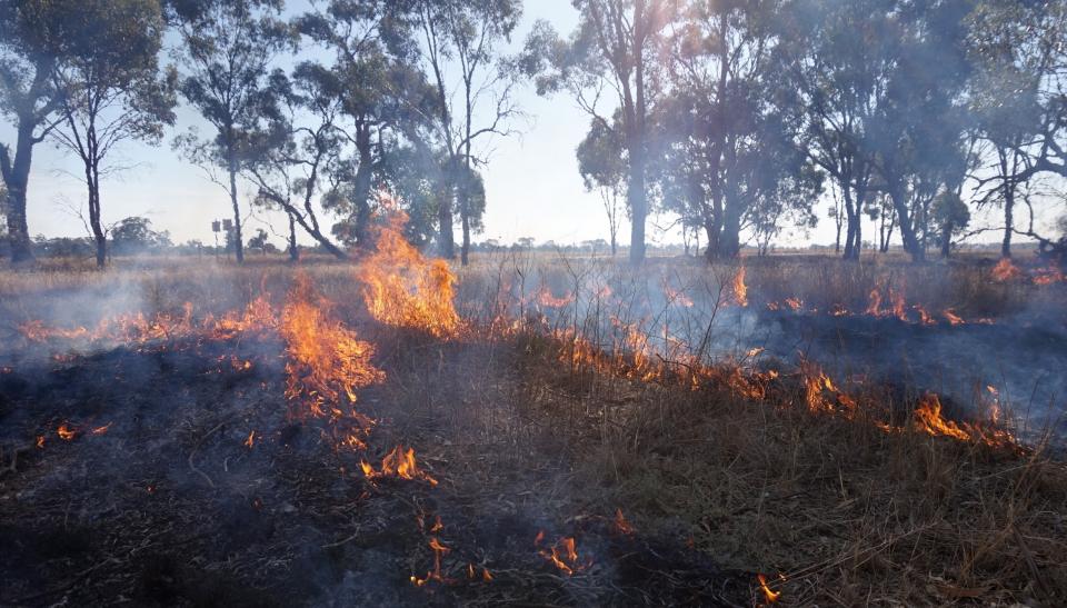 Djandak wi cultural burn at Myola, Victoria. Photo: Timothy Neale, 2018