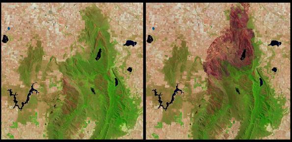 Northern Grampians, Landsat before and after fire January 2013. Photo: NASA