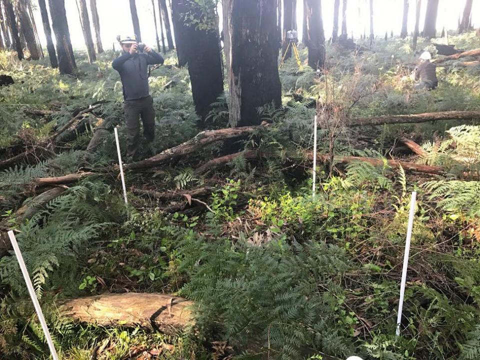 Data collection testing in closed lowland forests of Victoria. Photo: Karin Reinke