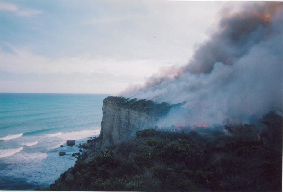 Port Campbell environmental burn. Photo: Brett Hardy