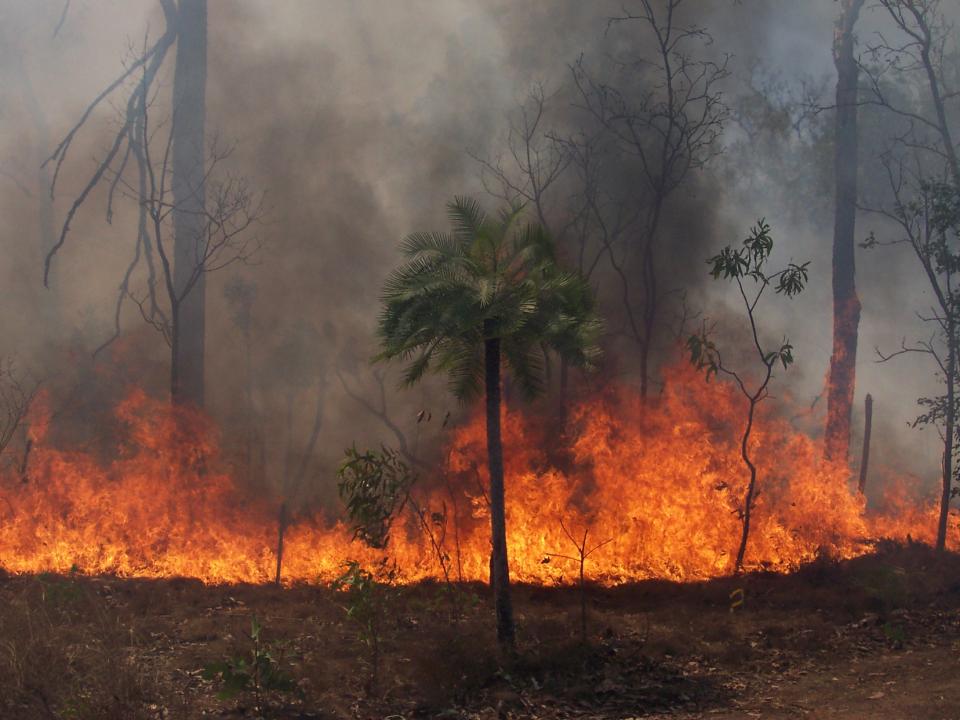 A fire within tropical savanna bushland of northern Australia. Photo: Ken Scott.