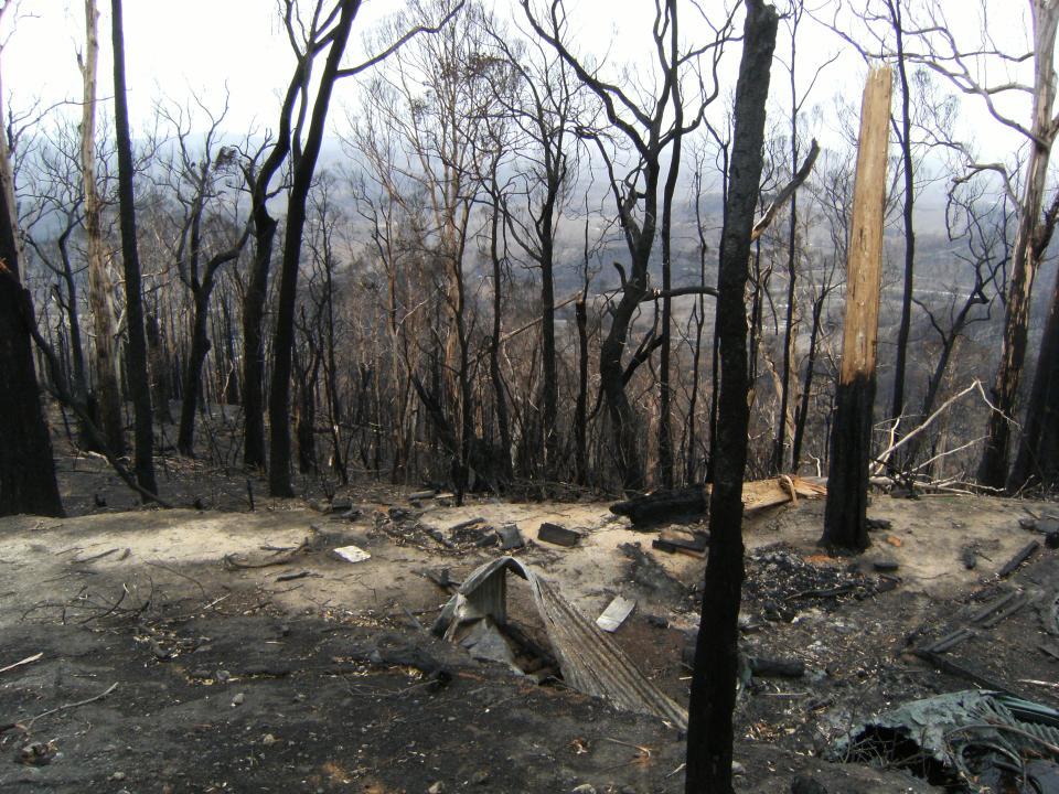 2009 Victoria Fires Kinglake. Photo: BNHCRC