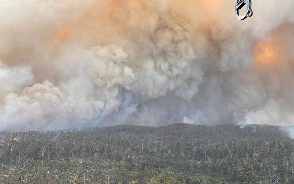 The Big Jack Mountain fire in NSW, February 2020. Photo: NSW Rural Fire Service.