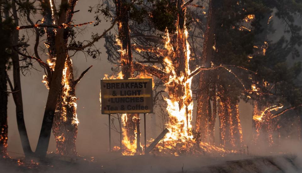 New research has begun that explores important issues arising from Australia’s devastating 2019/20 Black Summer. Photo: NSW Rural Fire Service. 
