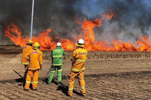 CFA and CSIRO burning croplands as part of a research project to look at how fire behaves. Photo: CFA