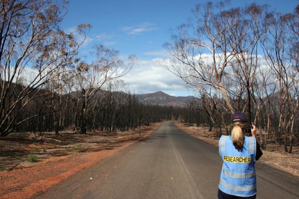 Post-fire research being conducted. Photo: Bushfire and Natural Hazards CRC