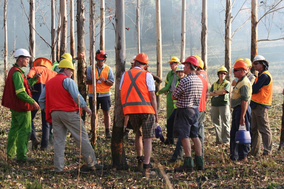 Discussing research on a prescribed burn.