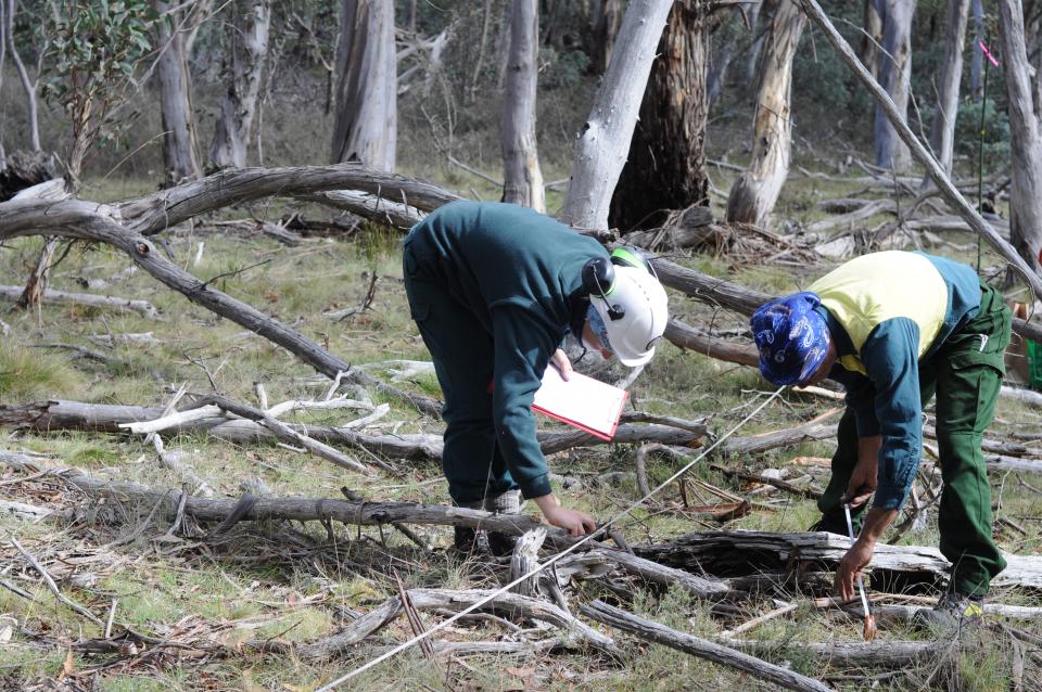 Bethany and Dean from ACT Parks and Conservation Service measuring coarse woody debris before the burn, in the Cotter Catchment, ACT.