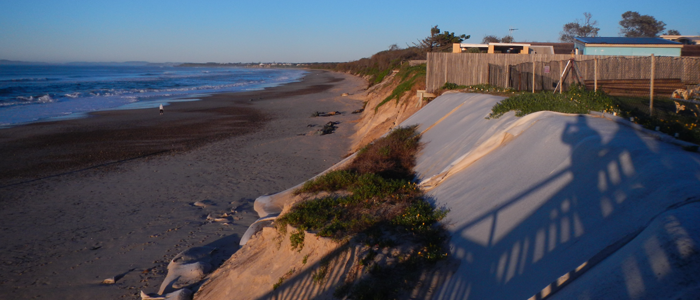 The actively eroding dune face at Old Bar, as seen in June 2015. Photo: Geoscience Australia