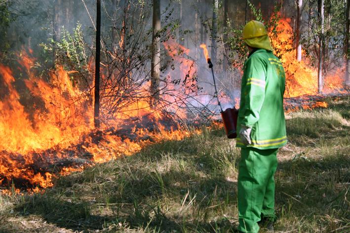 Prescribed burning in northern NSW
