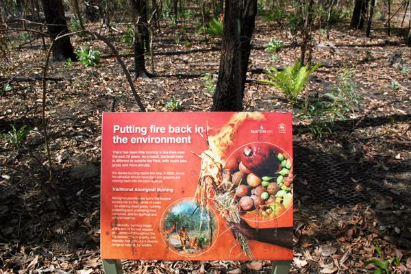 Fire knowledge in northern Australia
