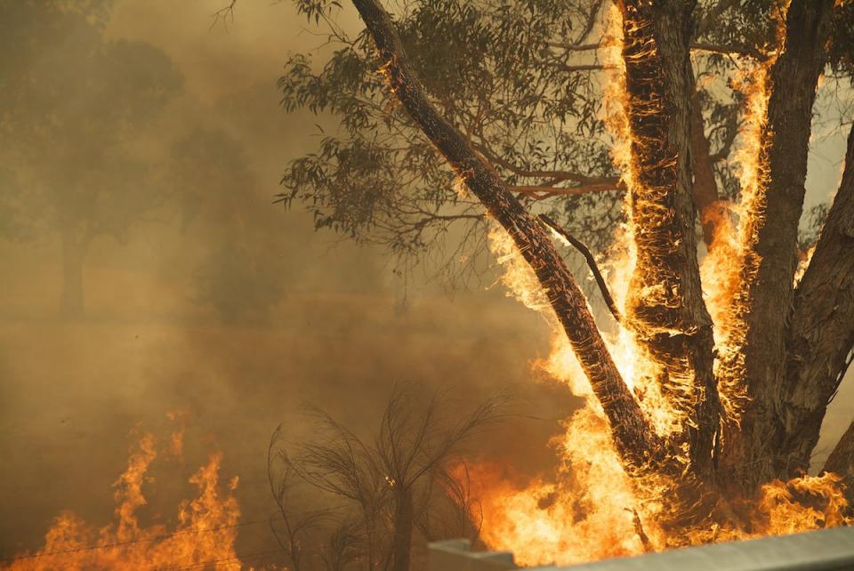 Photo of a fire during the 2016 Tasmanian bushfires.