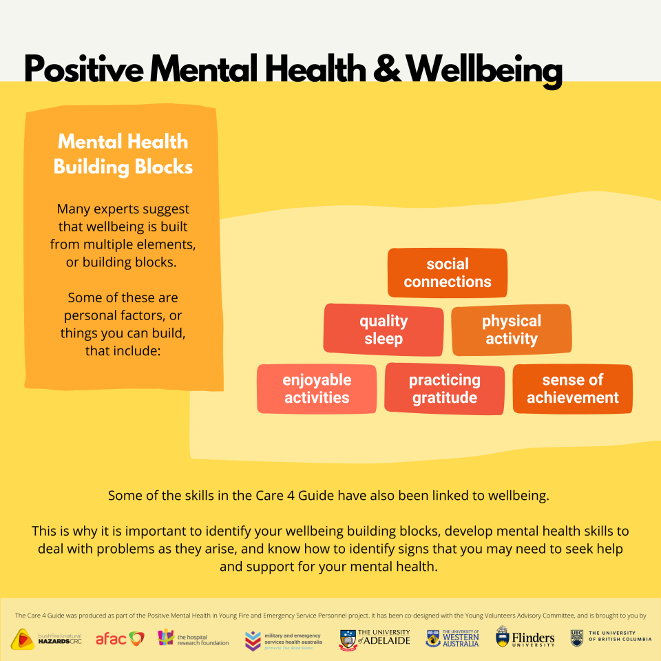 Mental Health and Wellbeing: Mental Health Building Blocks 