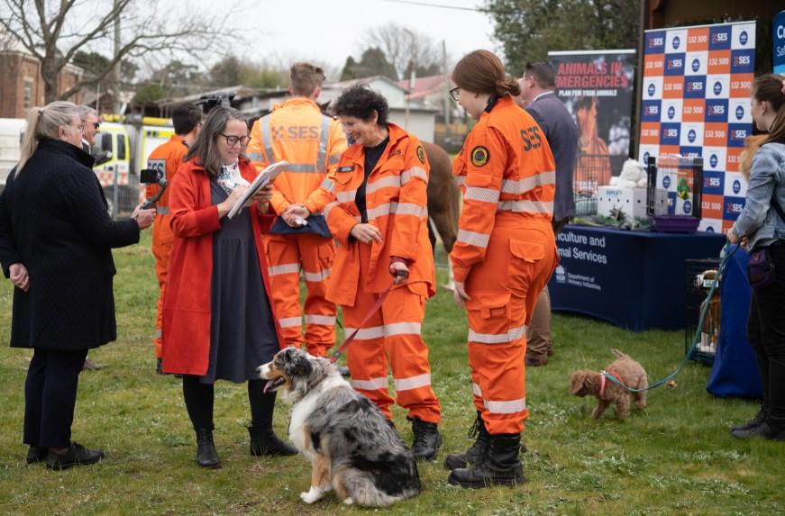 NSW SES launched their new evidence-based Get Ready Animals website in August 2020. Photo: NSW SES.