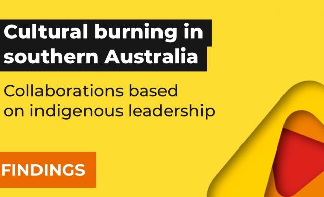 Cultural burning in southern Australia: collaborations based on Indigenous leadership