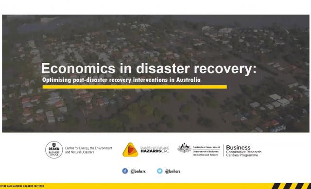 Economics in disaster recovery - webinar