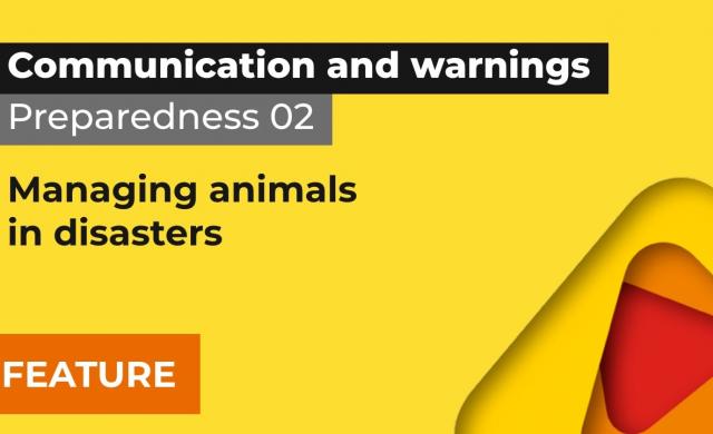 Preparedness 2: Managing animals in disasters