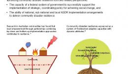 Growing community disaster resilience: Are arrangements for implementing the national strategy for disaster resilience fit-for-purpose?