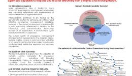 Network Centric Emergency Management: Options for Filling a Strategic Void in Interoperability Thinking