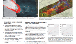 Long-distance spot-fires: An empirical analysis